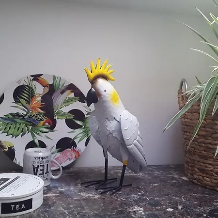 Logis L'estelvin D'hôtes 3* Carcassonne